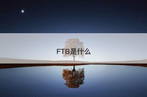 FTB是什么