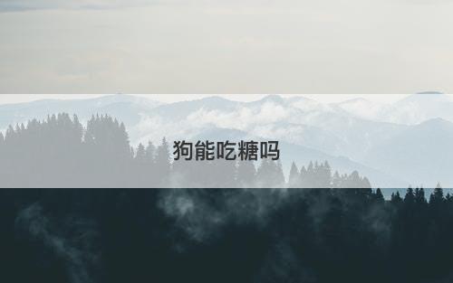 狗能吃糖吗