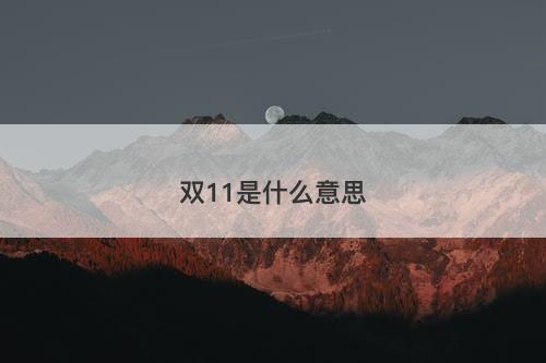 双11是什么意思