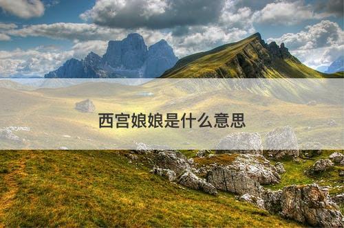 西宫娘娘是什么意思