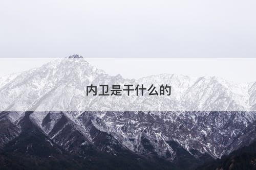 内卫是干什么的