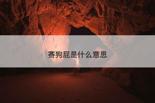 赛狗屁是什么意思