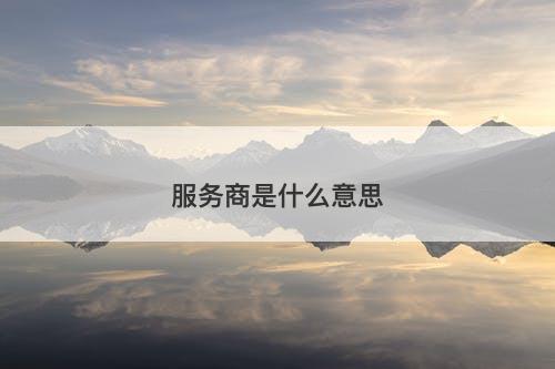 服务商是什么意思