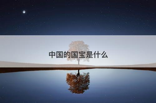 中国的国宝是什么
