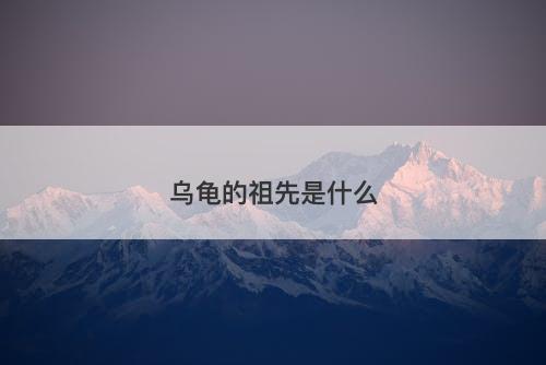 乌龟的祖先是什么