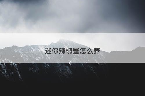 迷你辣椒蟹怎么养