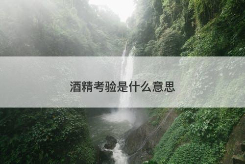酒精考验是什么意思