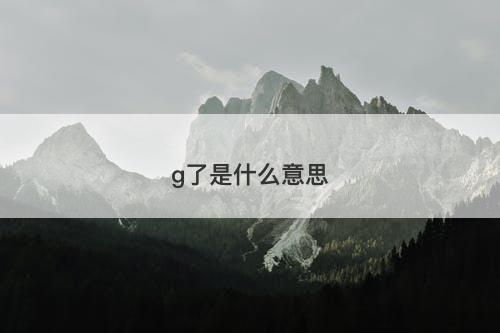 g了是什么意思