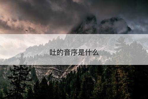 吐的音序是什么