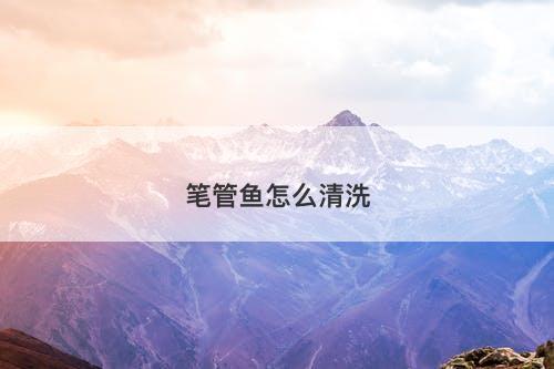 笔管鱼怎么清洗