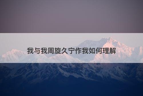 我与我周旋久宁作我如何理解