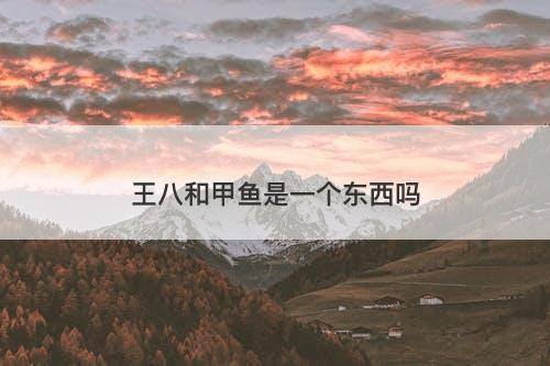 王八和甲鱼是一个东西吗