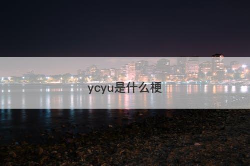 ycyu是什么梗