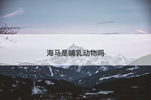 海马是哺乳动物吗