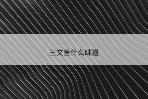 三文鱼什么味道