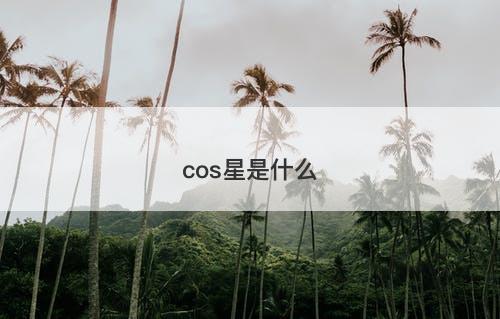 cos星是什么