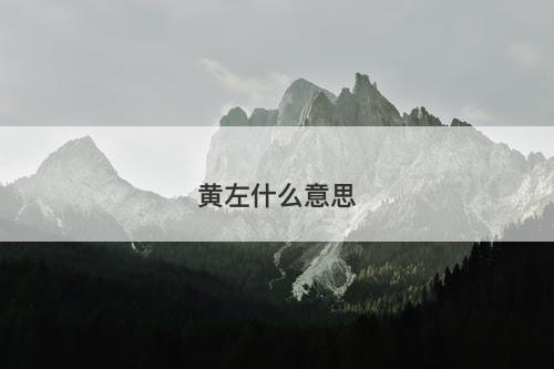 黄左什么意思