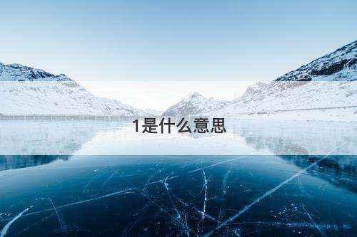 1是什么意思