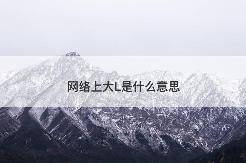 网络上大L是什么意思