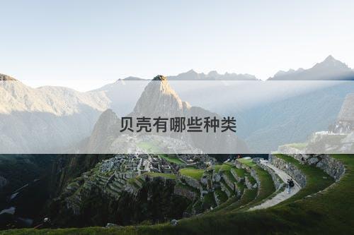 贝壳有哪些种类