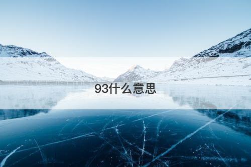 93什么意思