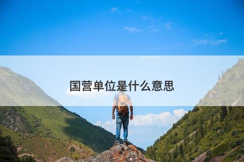 国营单位是什么意思