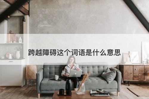 跨越障碍这个词语是什么意思