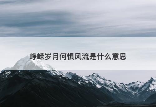 峥嵘岁月何惧风流是什么意思