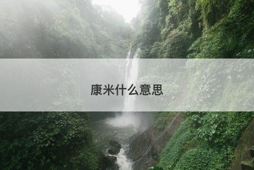康米什么意思