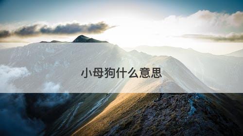 小母狗什么意思