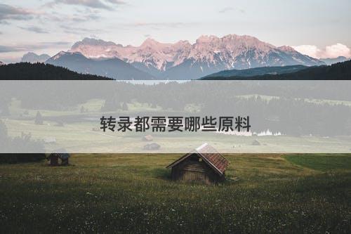 转录都需要哪些原料