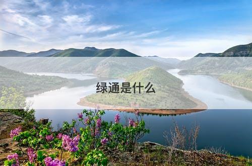 绿通是什么