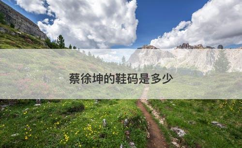 蔡徐坤的鞋码是多少