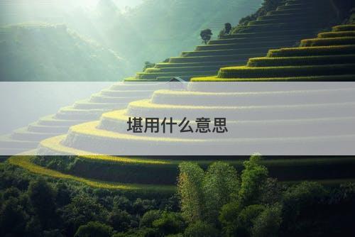 堪用什么意思