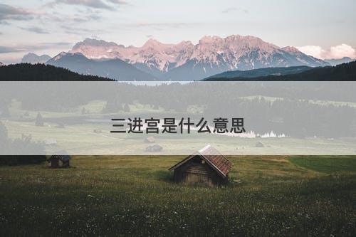 三进宫是什么意思