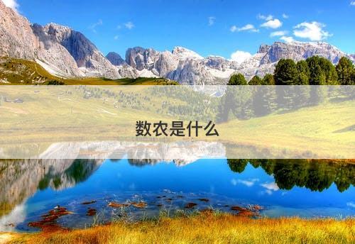数农是什么