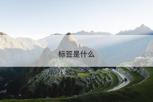 标签是什么