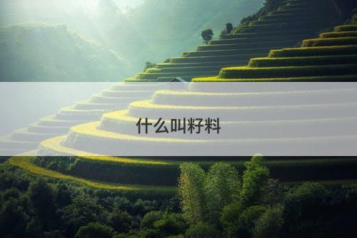 什么叫籽料