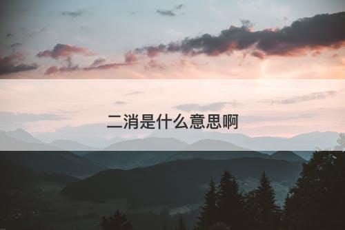 二消是什么意思啊