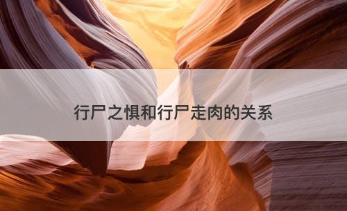 行尸之惧和行尸走肉的关系