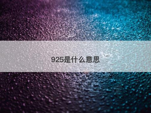 925是什么意思