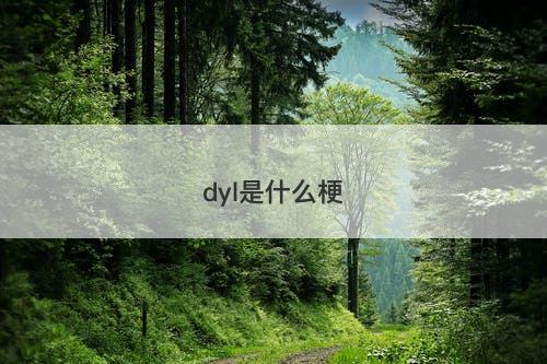 dyl是什么梗
