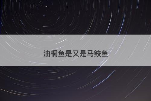 油桐鱼是又是马鲛鱼