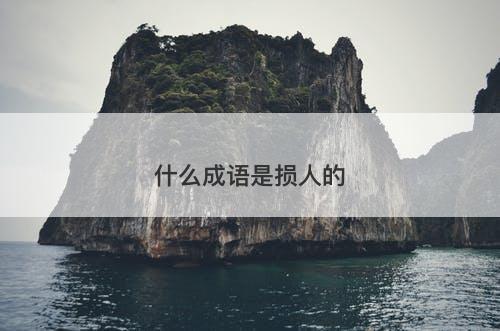 什么成语是损人的