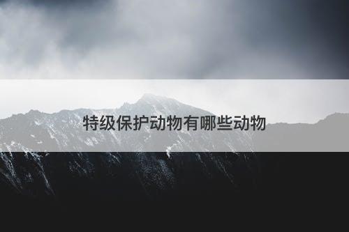 特级保护动物有哪些动物