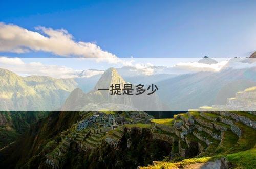 一提是多少