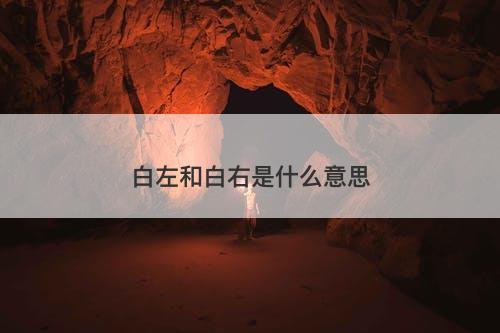 白左和白右是什么意思