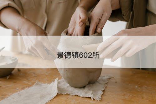 景德镇602所