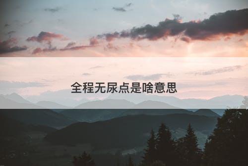 全程无尿点是啥意思