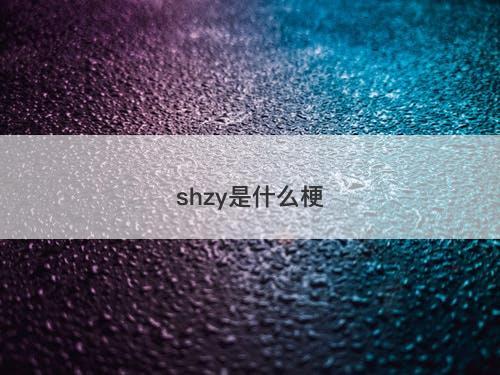 shzy是什么梗